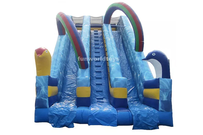 Outdoor Backyard Inflatable Dry Slide FWD244