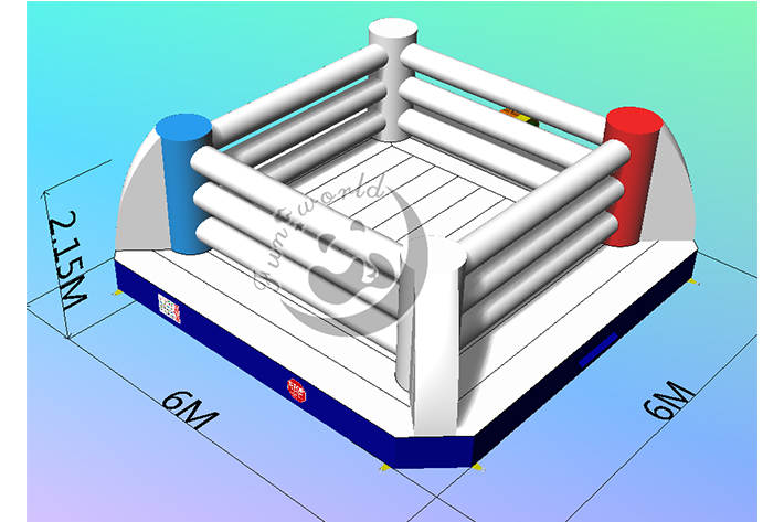 Inflatable Boxing Ring FWND20